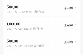 东阿为什么选择专业追讨公司来处理您的债务纠纷？